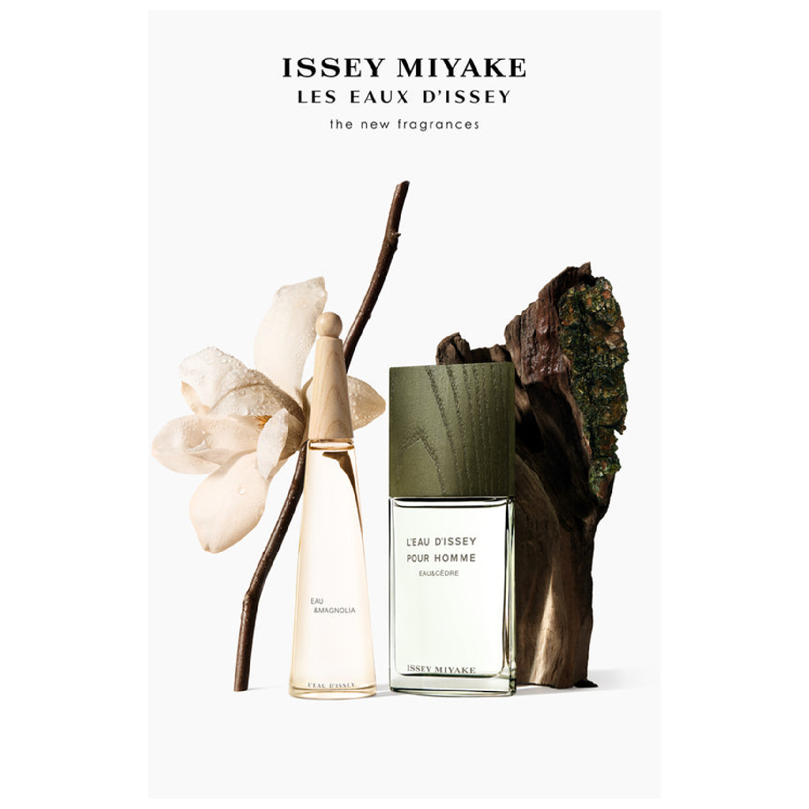 Issey Miyake L'Eau d'Issey Pour Homme Eau de Toilette for Men