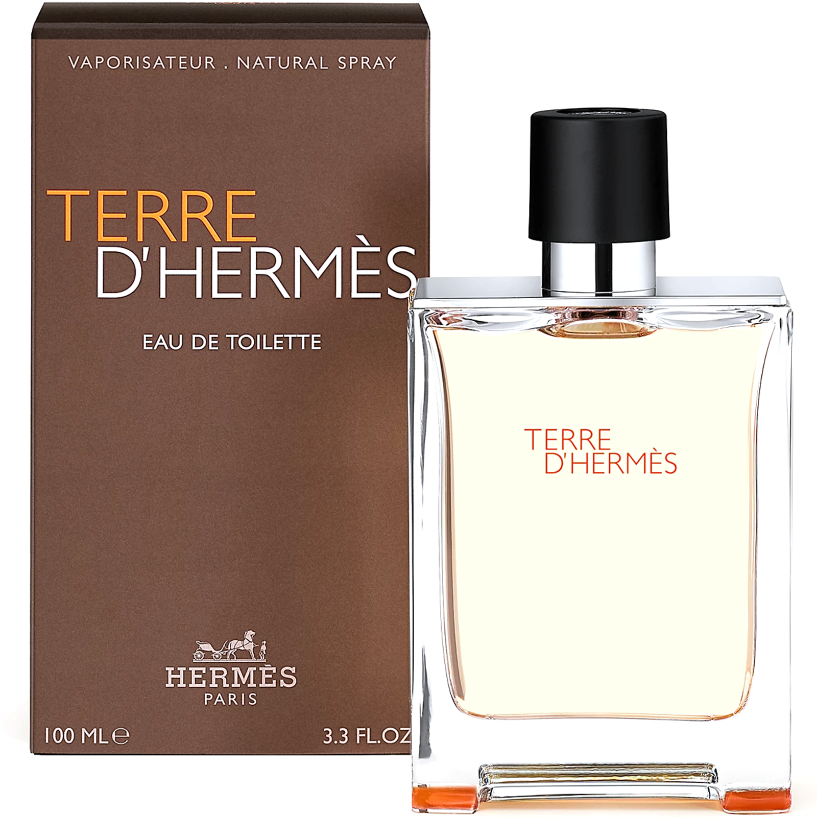 Hermes Terre D'hermes Eau de Toilette for Men
