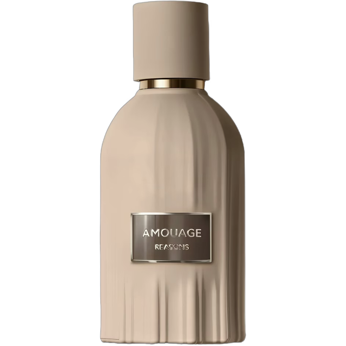 Amouage Reasons Essence de Parfum for Everyone