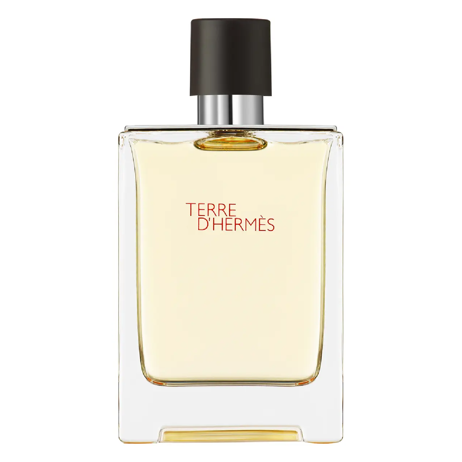 Hermes Terre D'hermes Eau de Toilette for Men