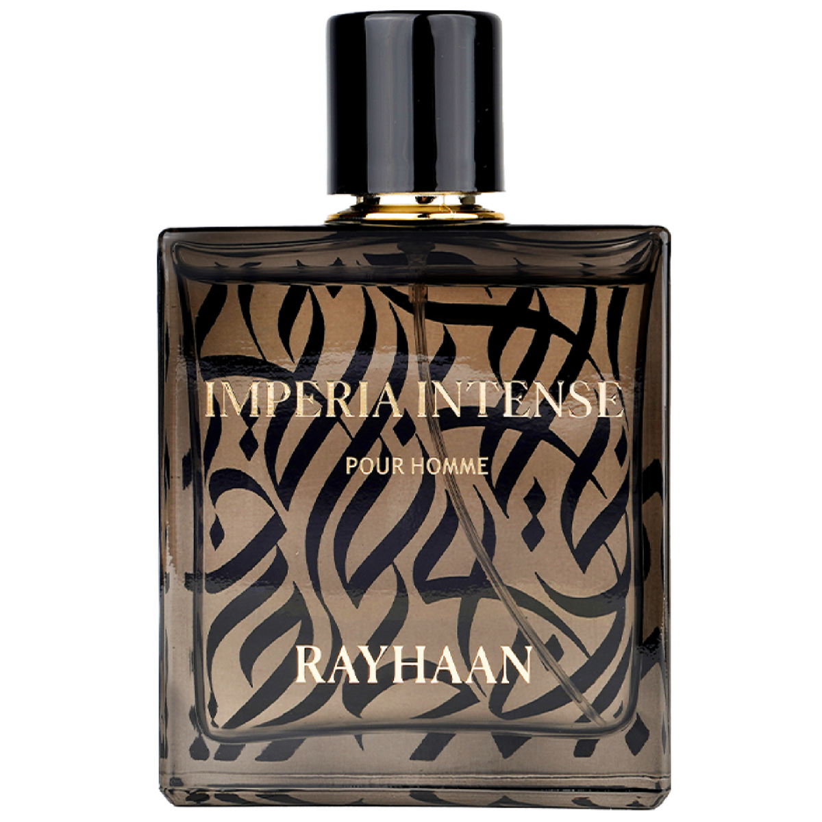 01bbncmuve.png?crop=center&