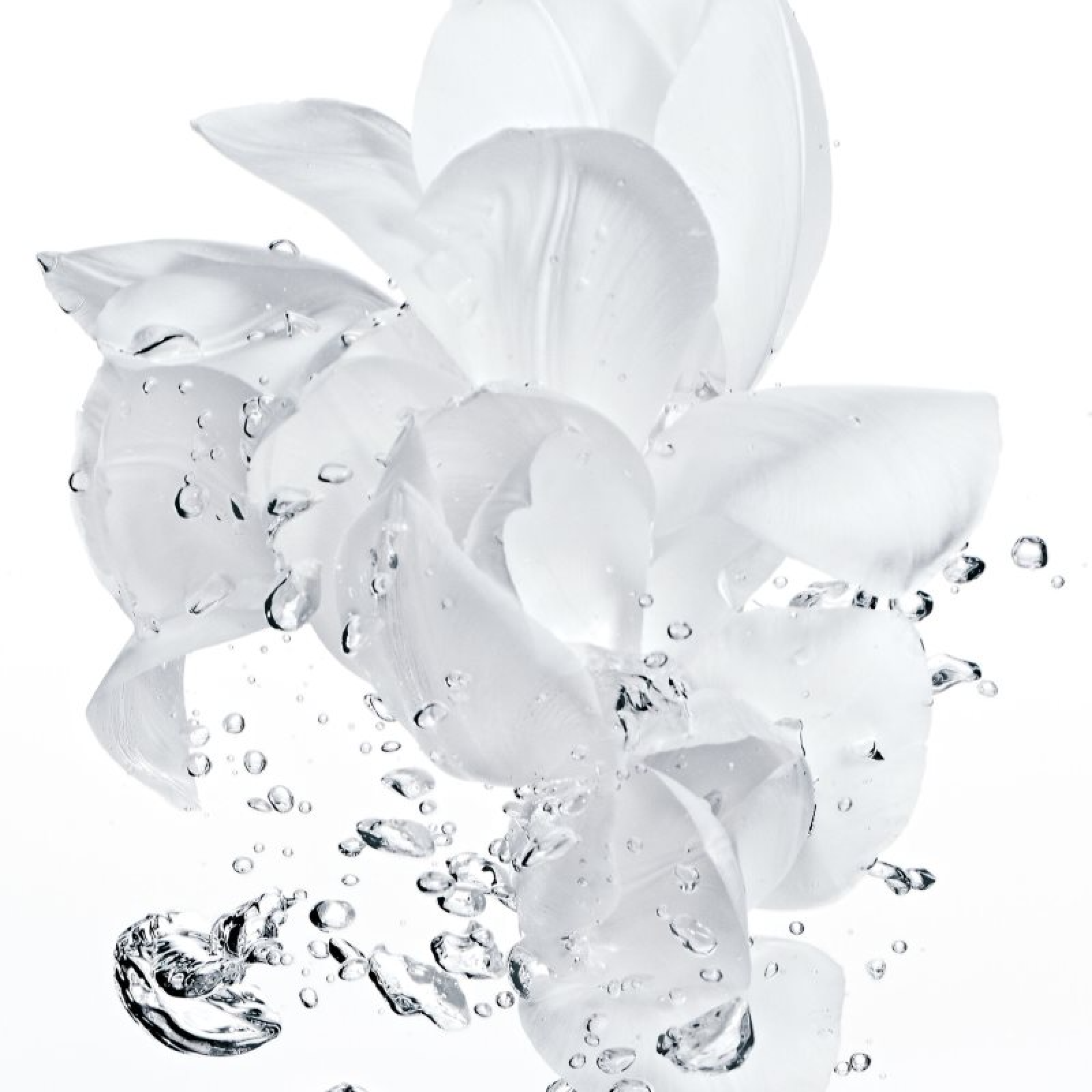 Dior Hydra Life Intense Sorbet Crème for Women