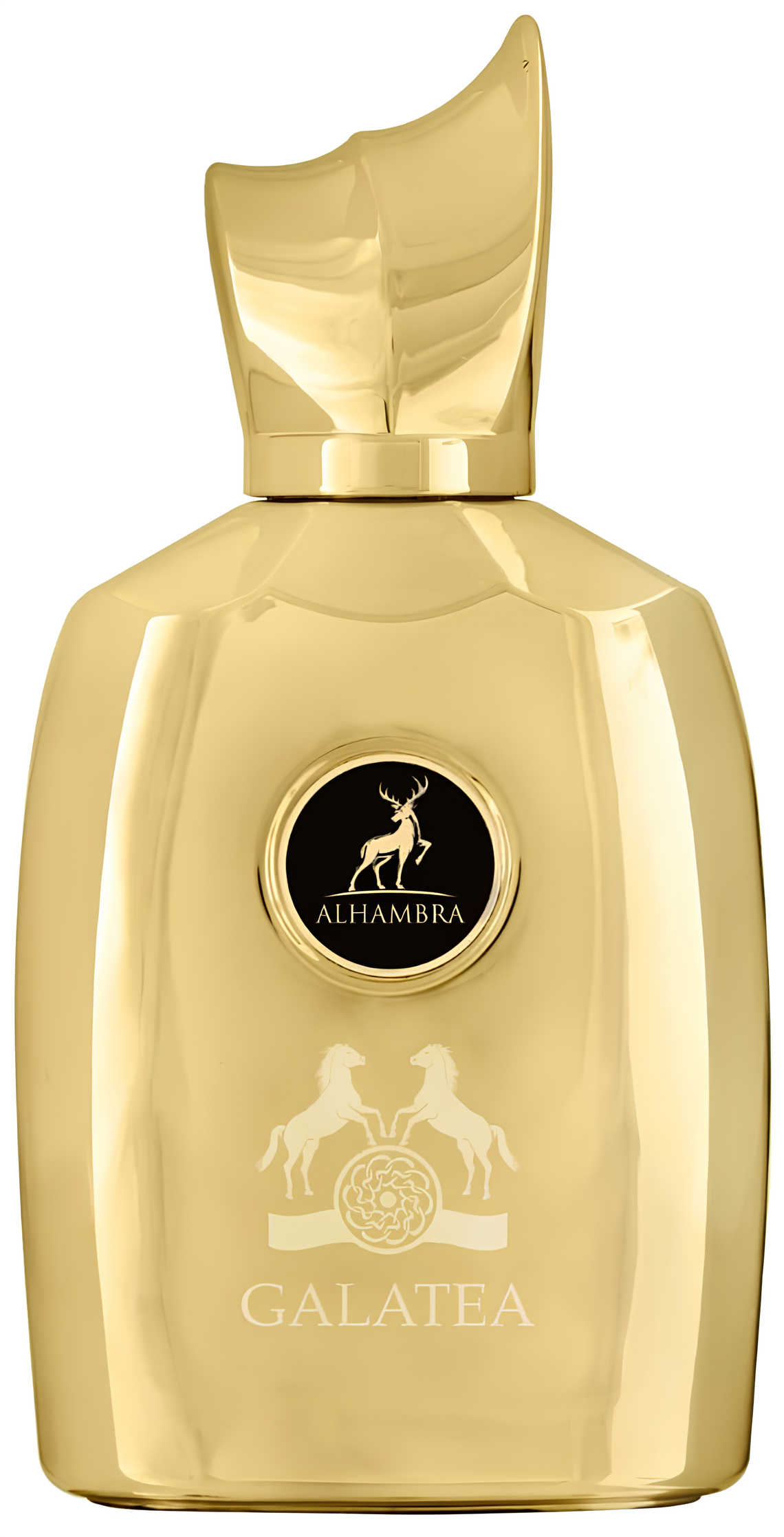 Maison Alhambra Galatea Eau de Parfum for Everyone