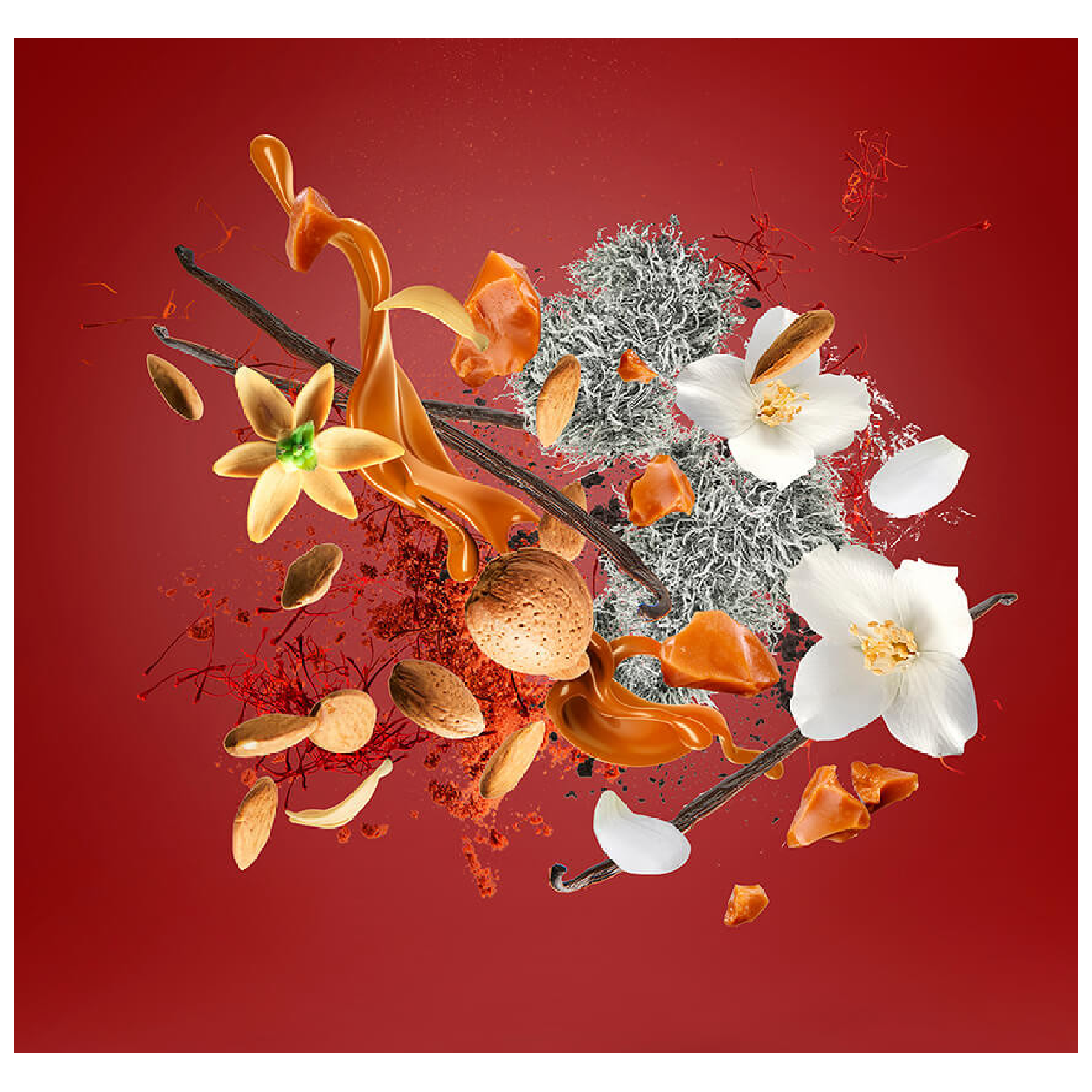 Xerjoff Casamorati 1888 Italica Eau de Parfum for Everyone