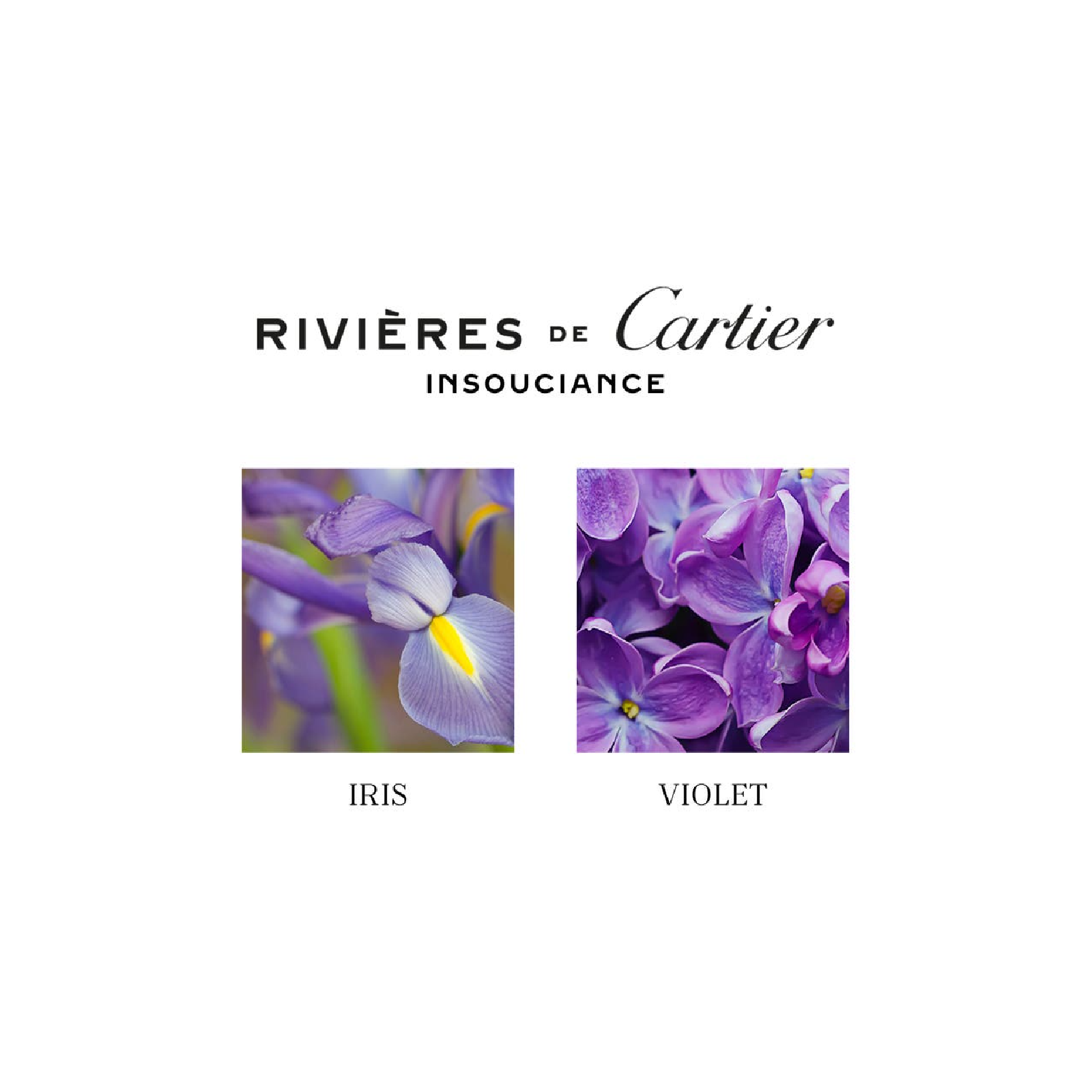 Cartier Rivieres De Cartier Insouciance Eau de Toilette for Everyone