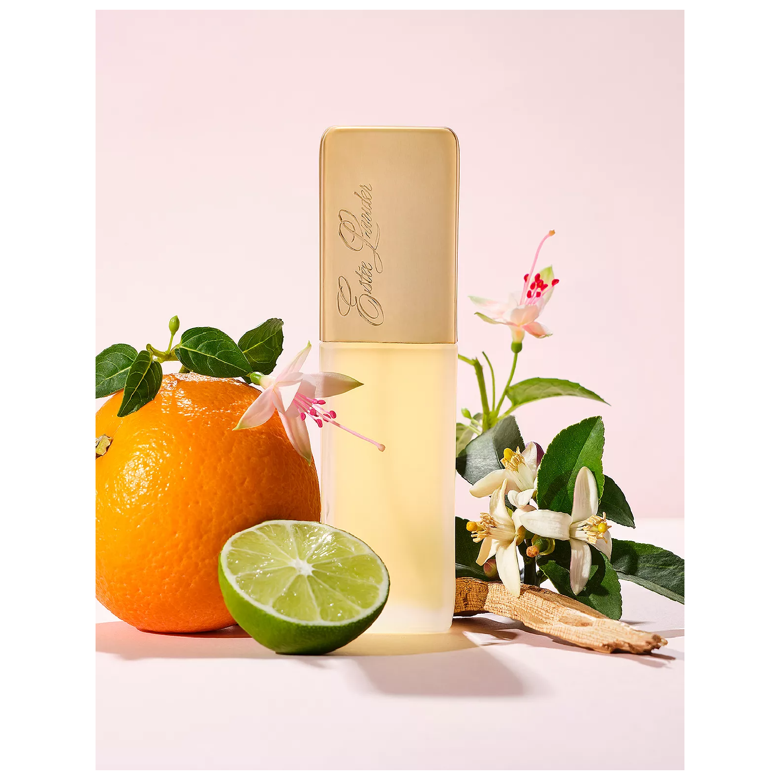 Estee Lauder Eau Private Collection Eau de Parfum for Women