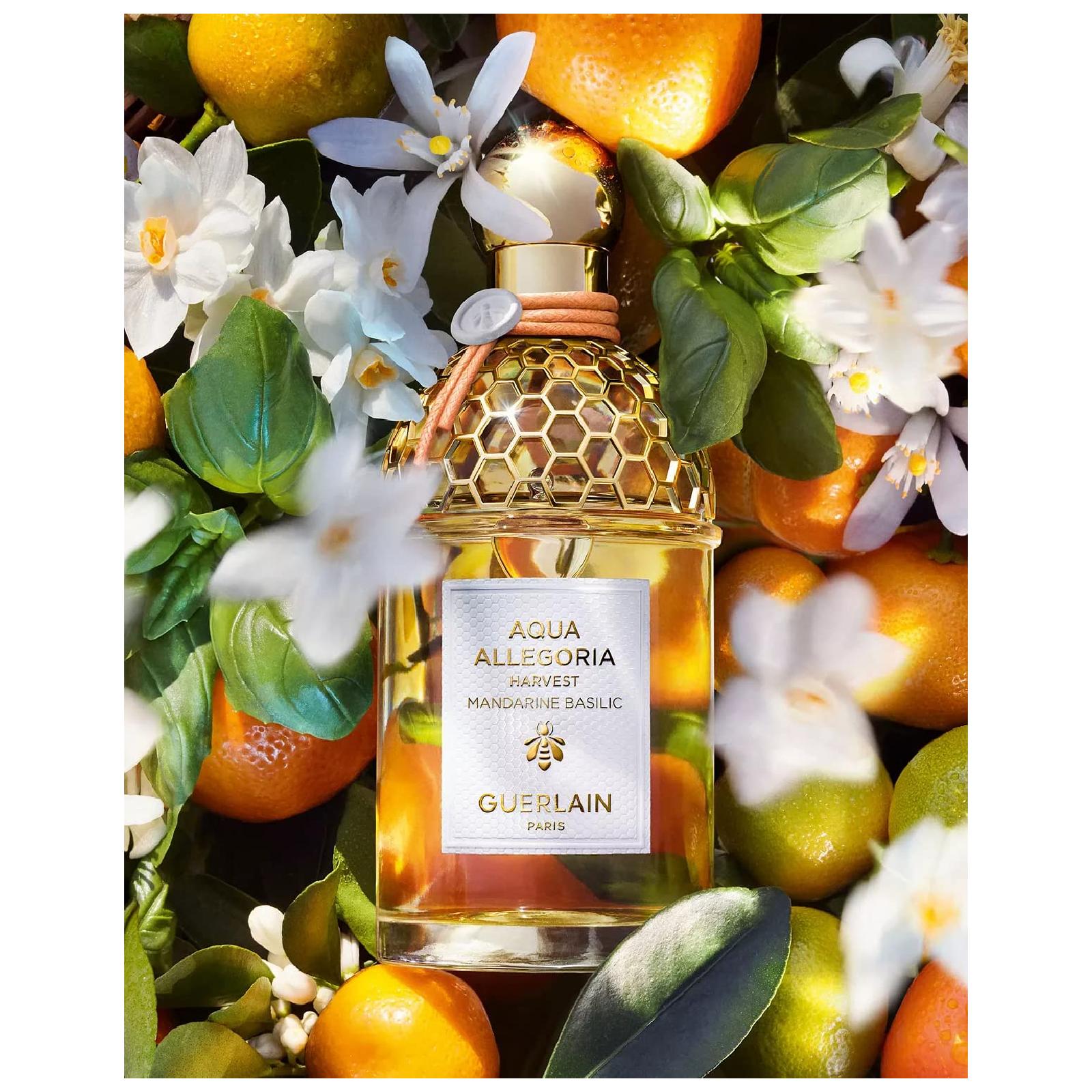 Guerlain Aqua Allegoria Harvest Mandarine Basilic Eau de Toilette for Women