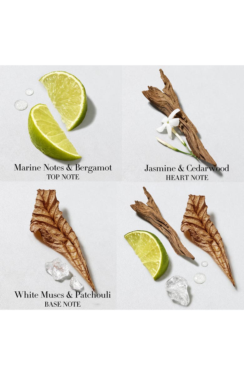 Giorgio Armani Acqua Di Gio Eau de Toilette for Men