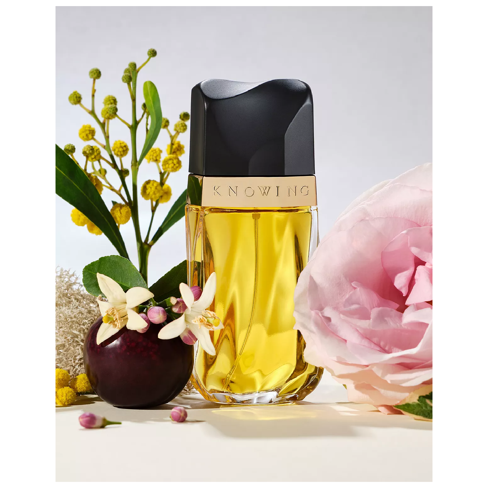 Estee Lauder Knowing Eau de Parfum for Women
