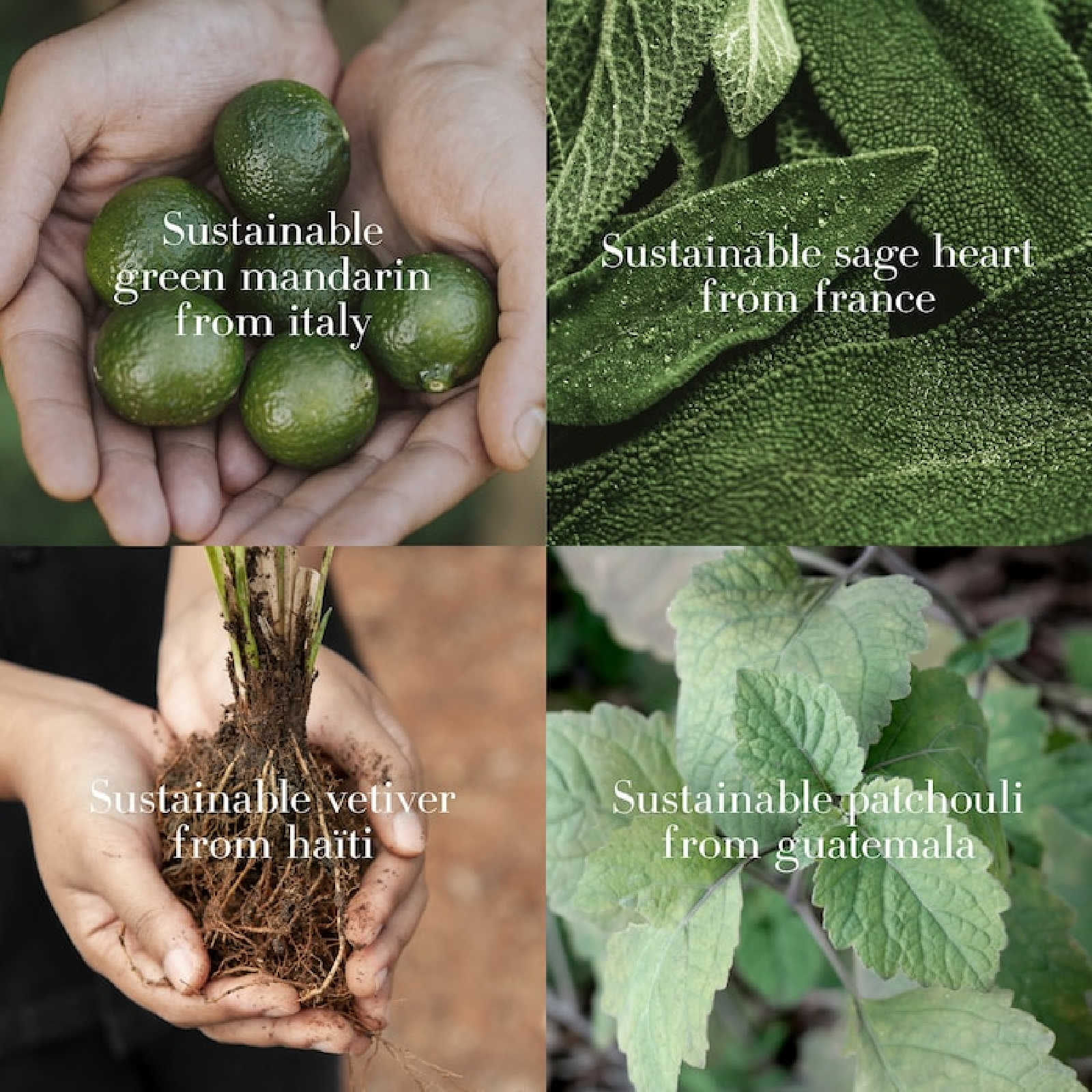 Giorgio Armani Acqua Di Gio Deodorant Spray for Men