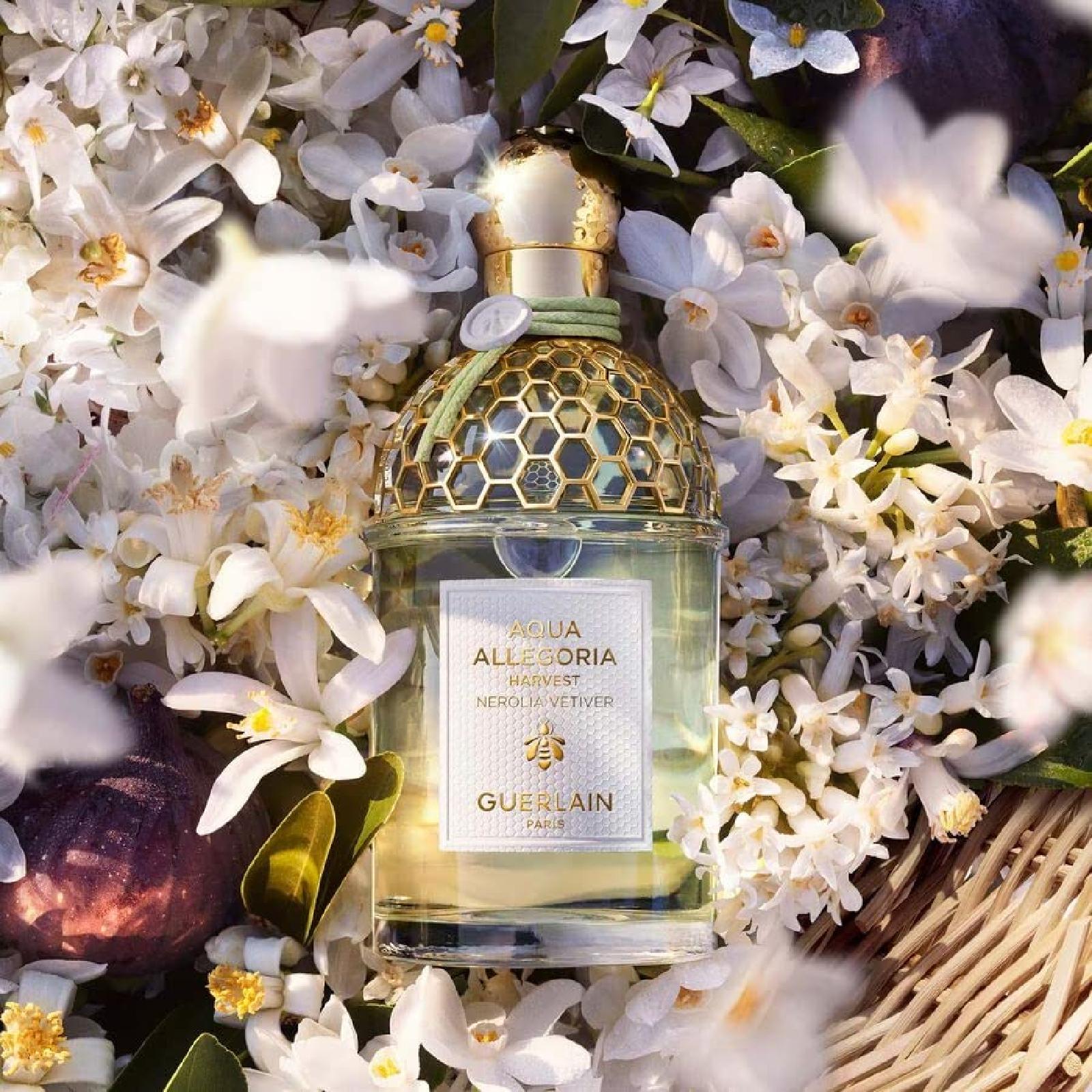 Guerlain Aqua Allegoria Harvest Nerolia Vetiver Eau de Toilette for Everyone