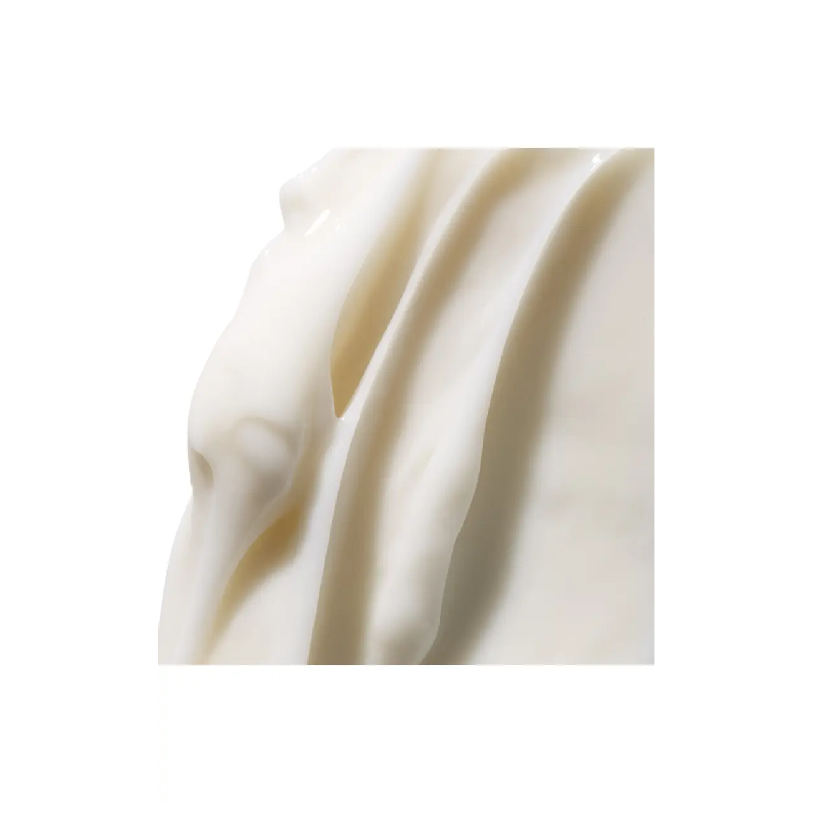 Fresh Rose Deep Hydration Face Cream for Women