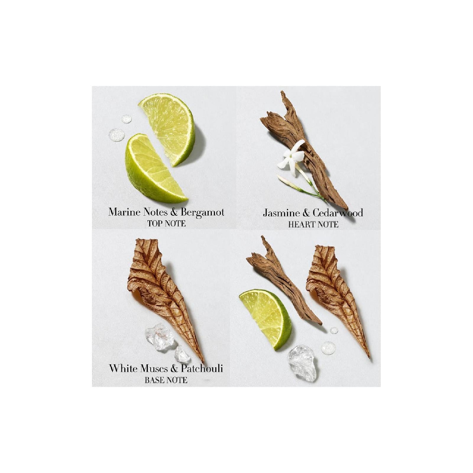 Giorgio Armani Acqua Di Gio Deodorant Stick for Men