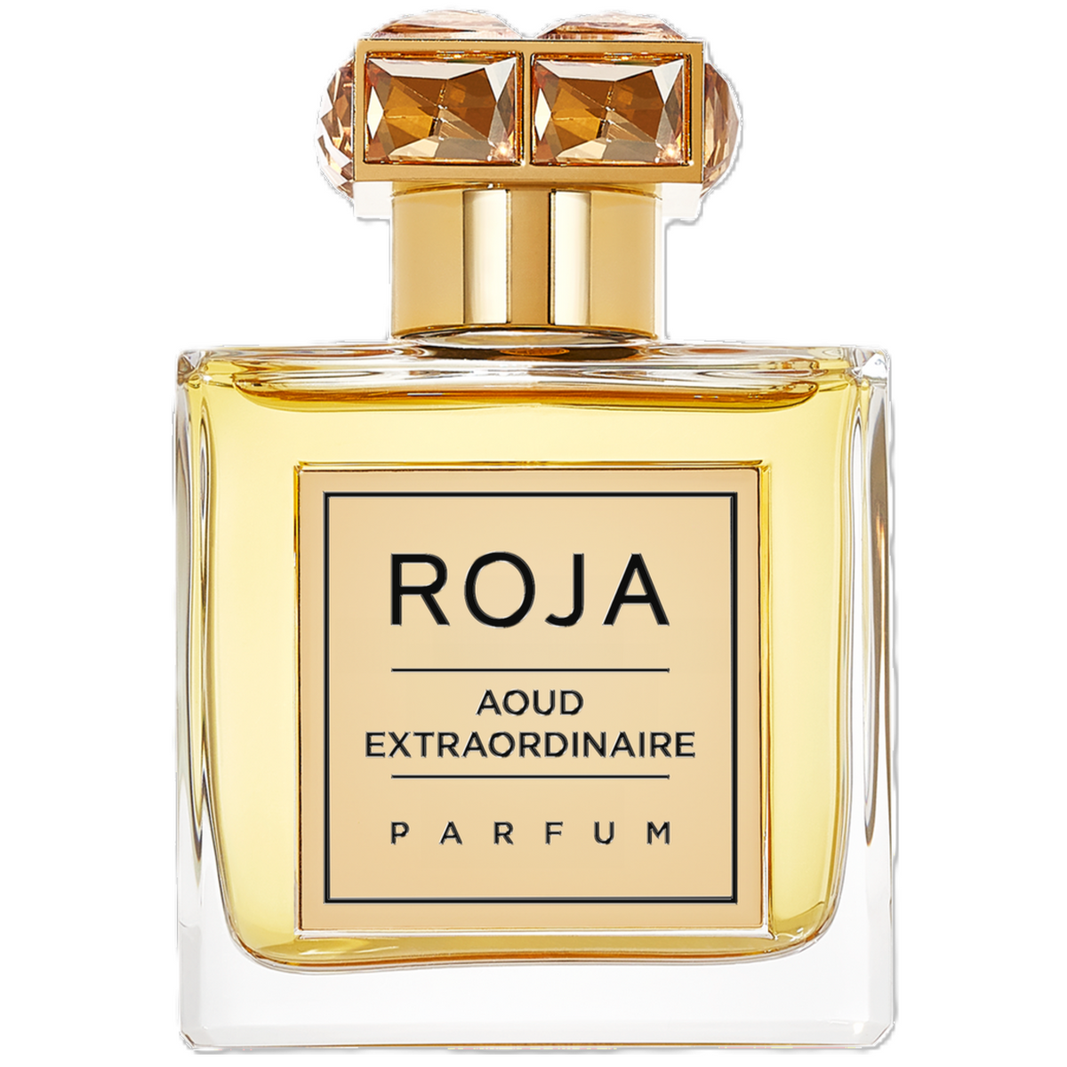 Roja Aoud Extraordinaire Parfum for Everyone