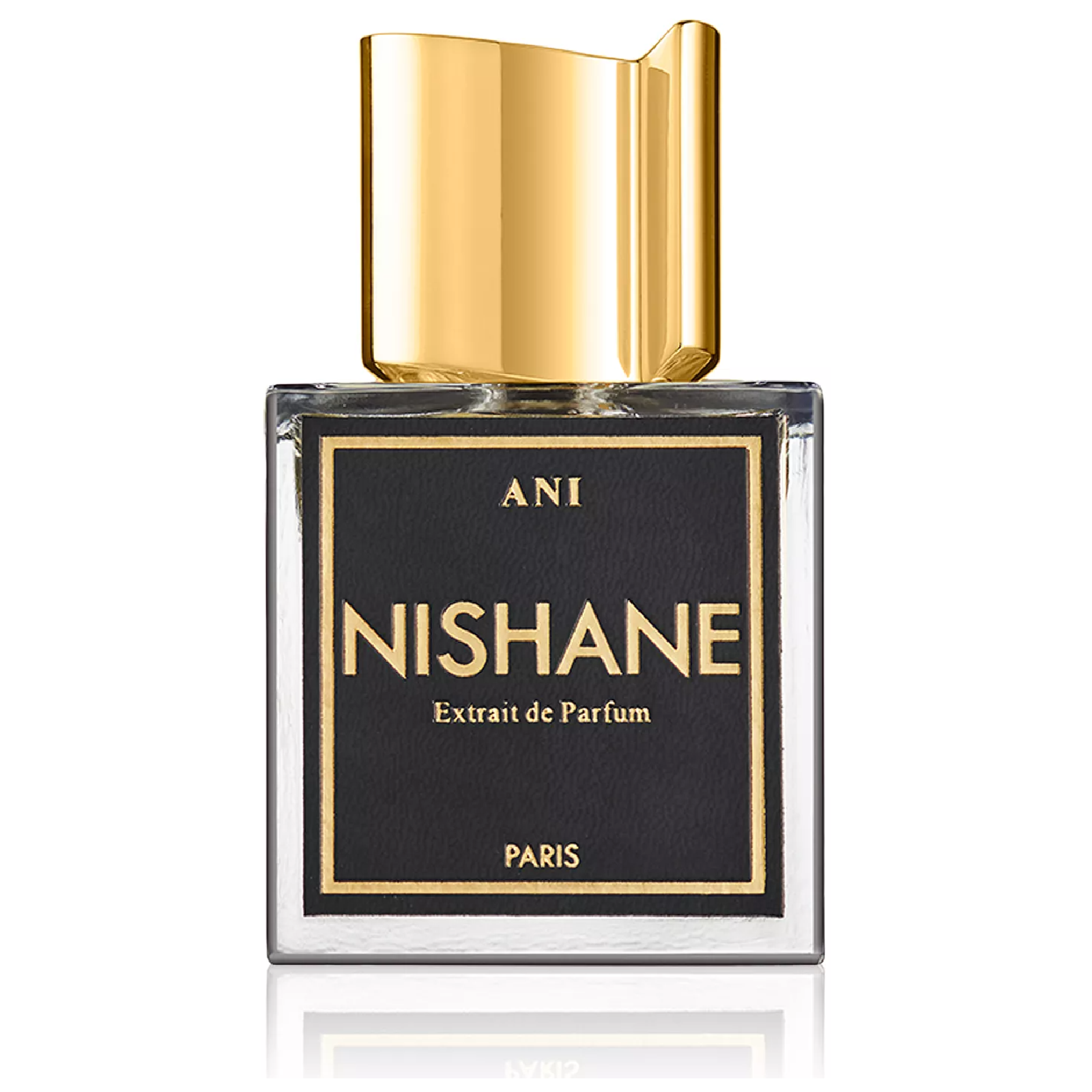 Nishane Ani Extrait de Parfum for Everyone