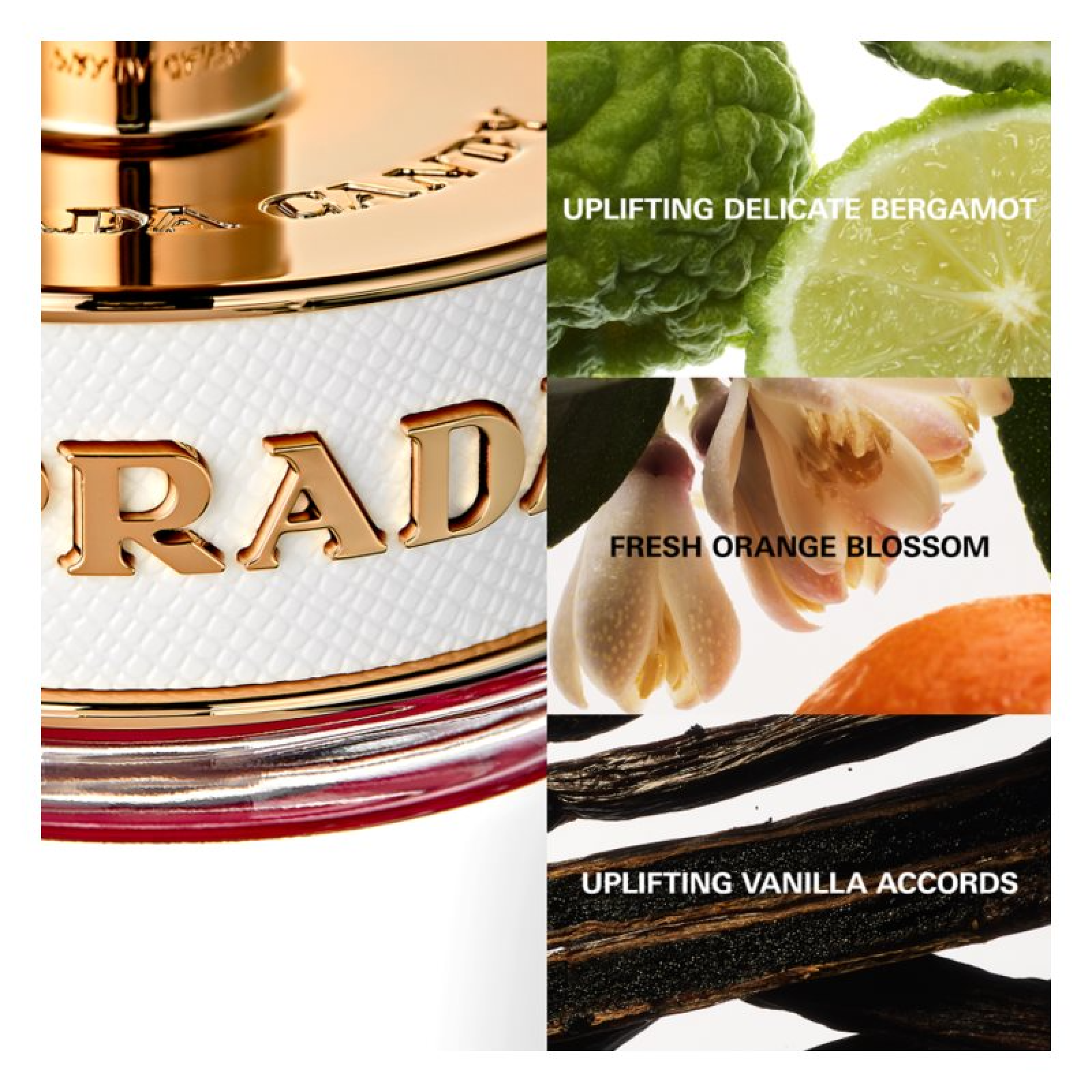 Prada Candy Kiss Eau de Parfum for Women