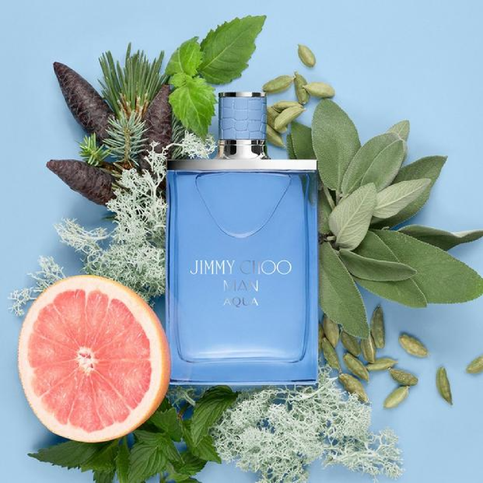 Jimmy Choo Man Aqua Eau de Toilette for Men