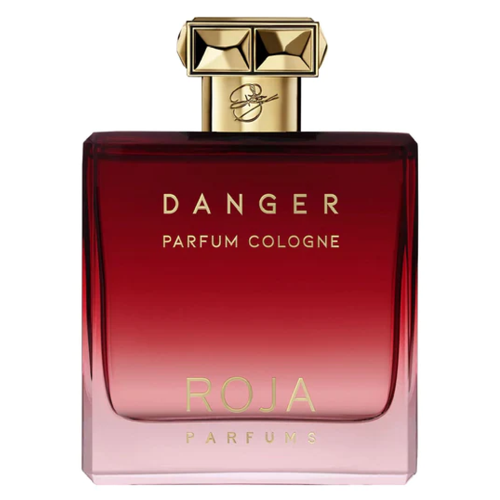 Roja Danger Parfum Cologne Eau de Parfum for Men