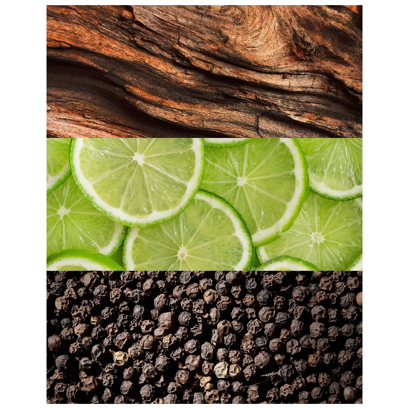 Lacoste Essential Eau de Toilette for Men