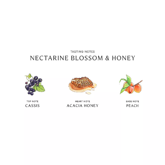 3.4oz Nectarine Blossom & Honey Jo Malone outlet