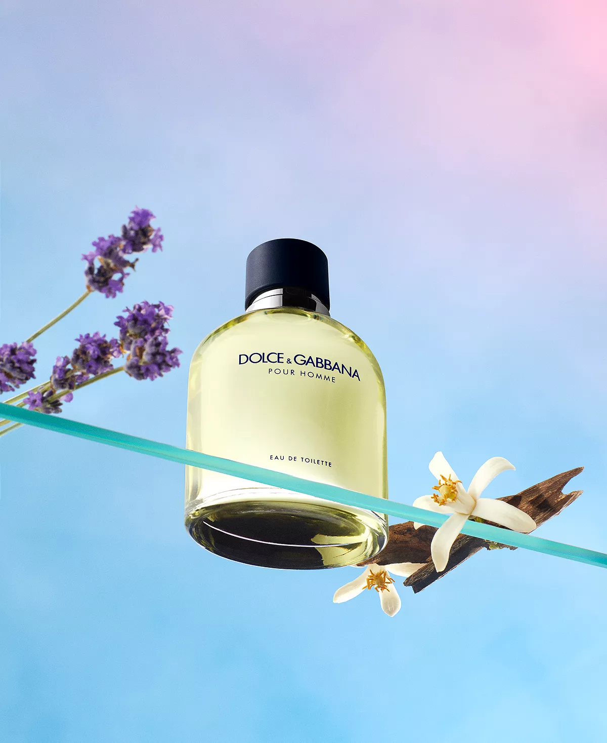 Dolce & Gabbana Pour Homme Eau de Toilette for Men