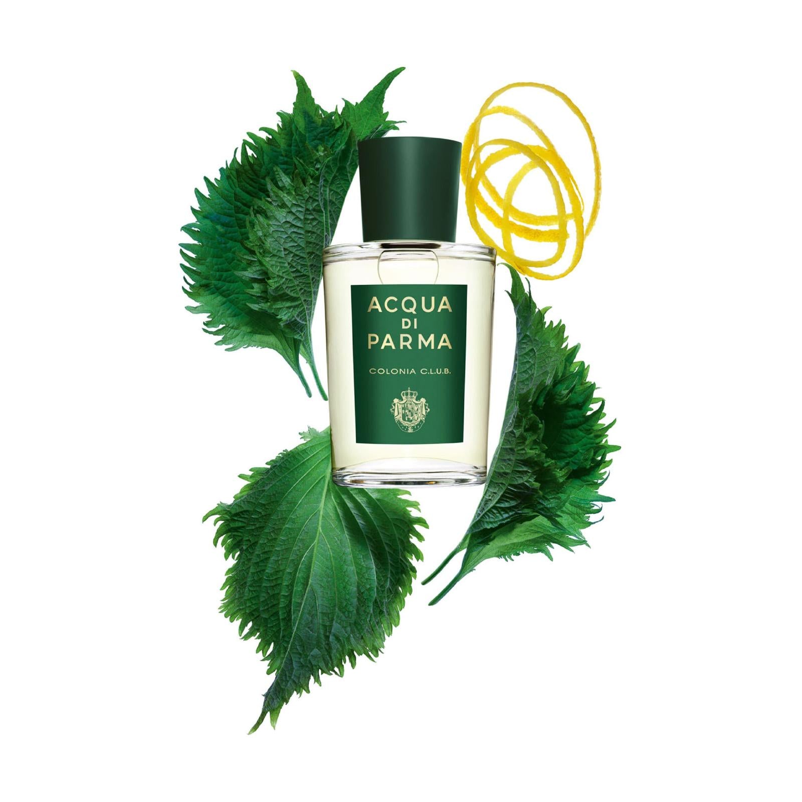 香水(男性用) AQUA DI PARMA \"COLONIA CLUB\" - 180 ML JPG-72-DPI-ADP_Colonia-