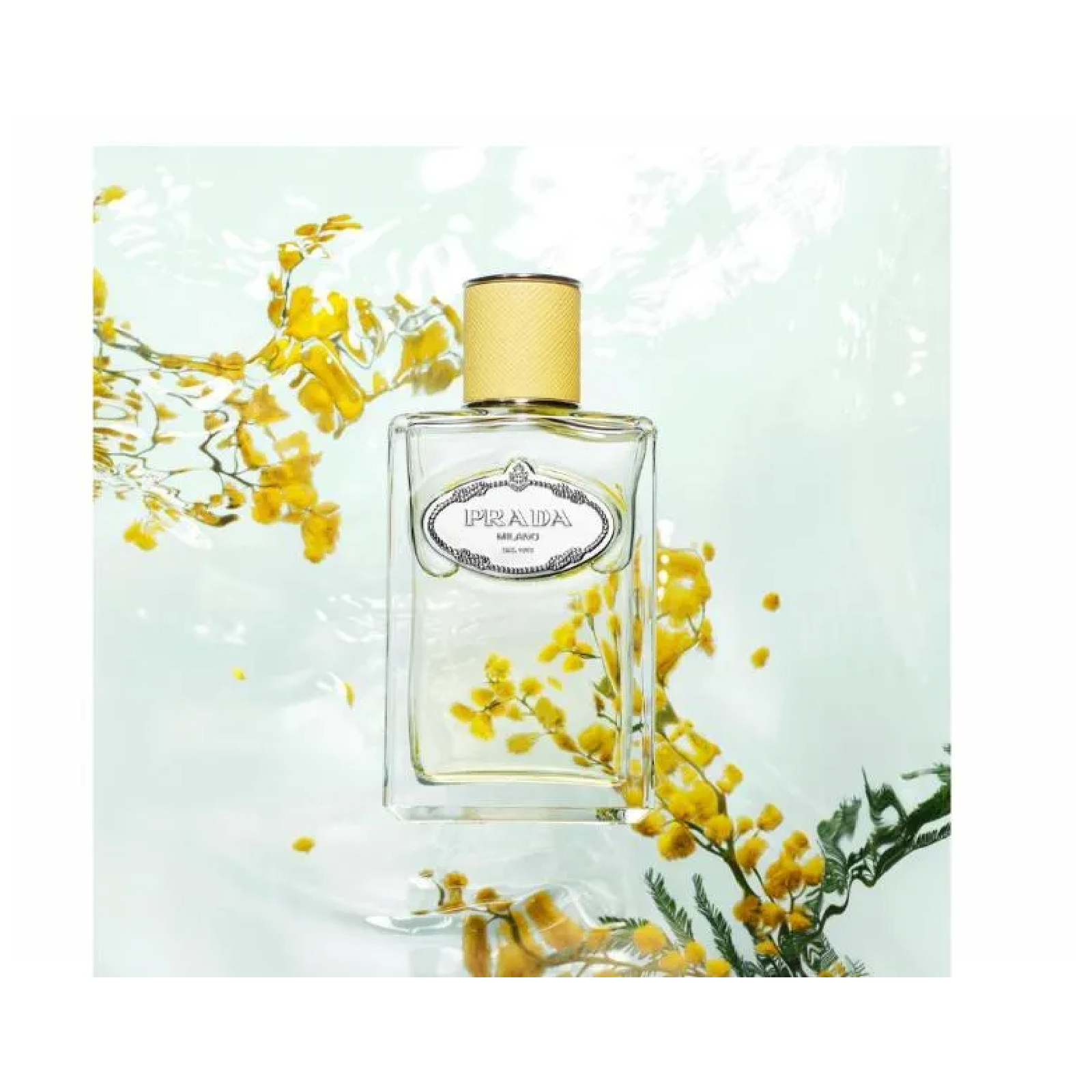 Prada Milano Les Infusions Mimosa Eau de Parfum for Women