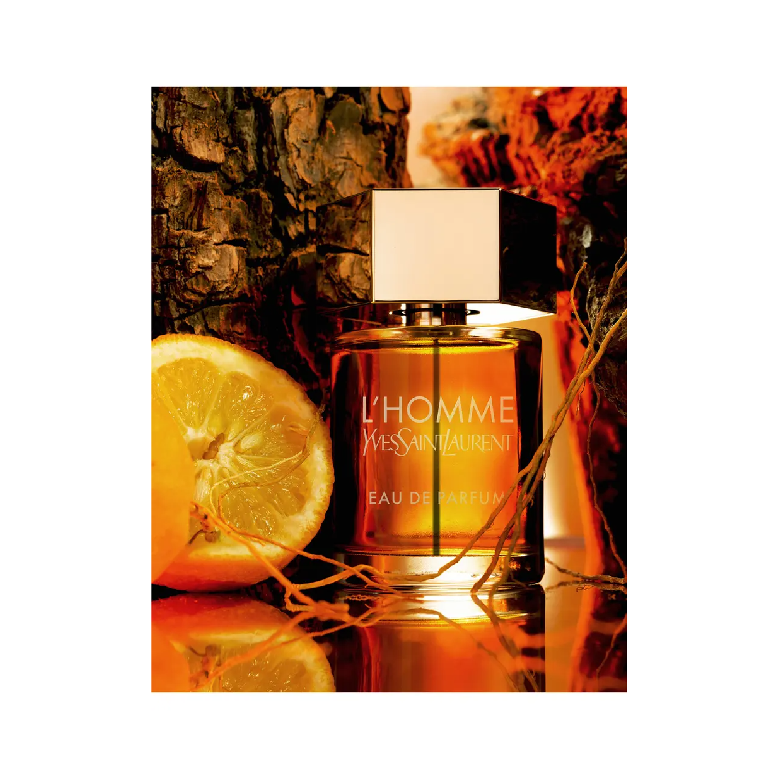 Yves Saint Laurent L'homme L'intense Eau de Parfum for Men