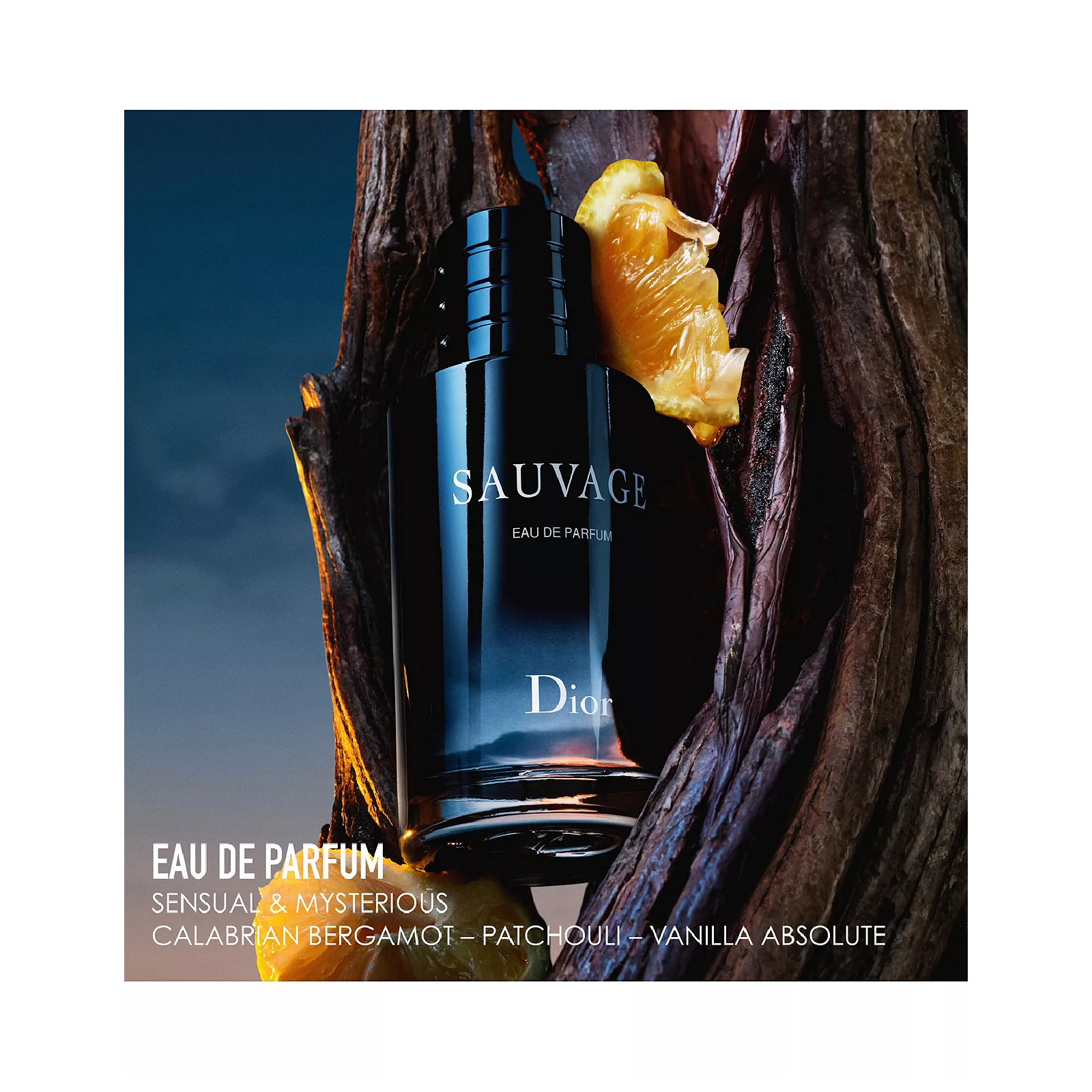 Dior SAUVAGE Eau de Parfum 60ml