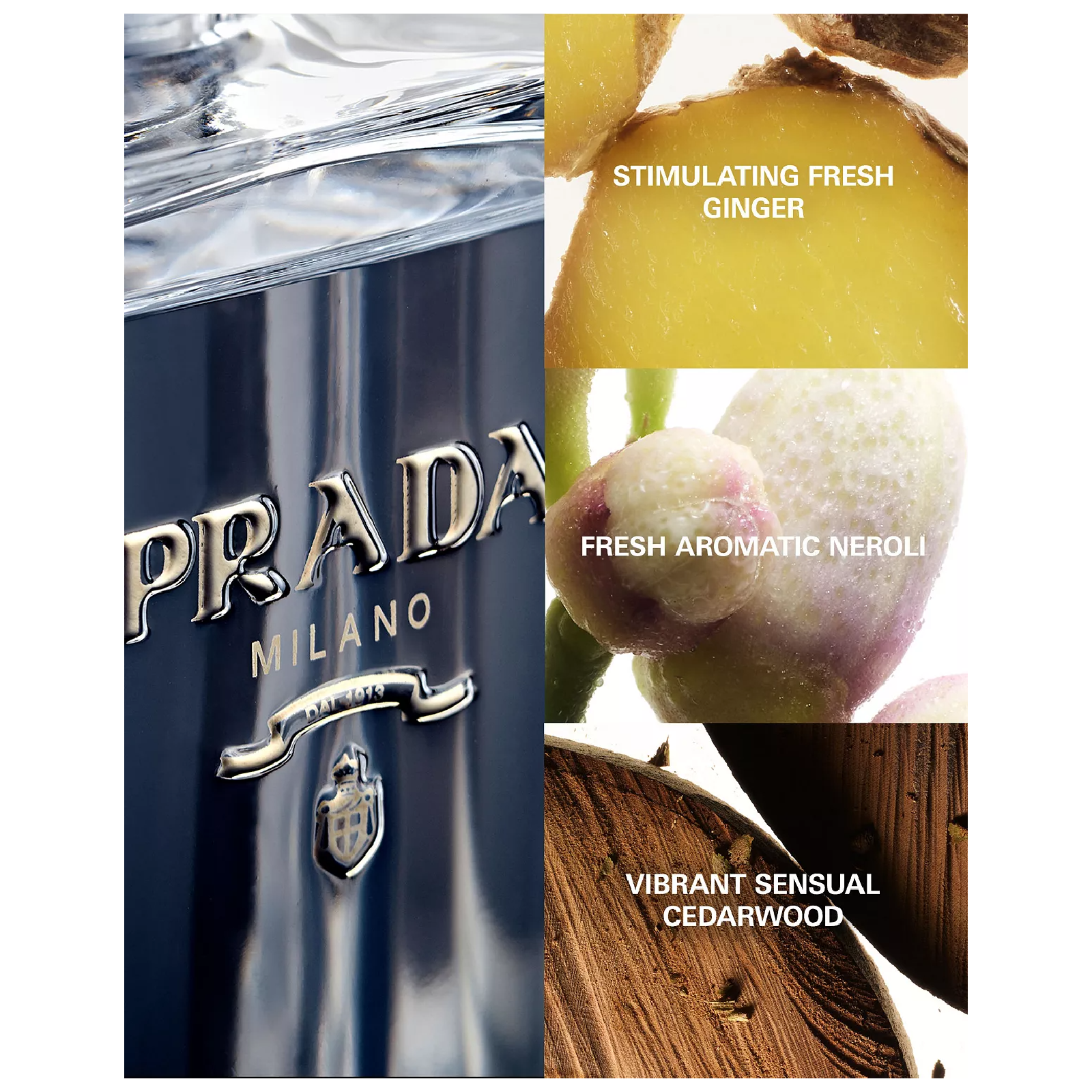 Prada L'homme Eau de Toilette - Authentic Luxury Fragrance