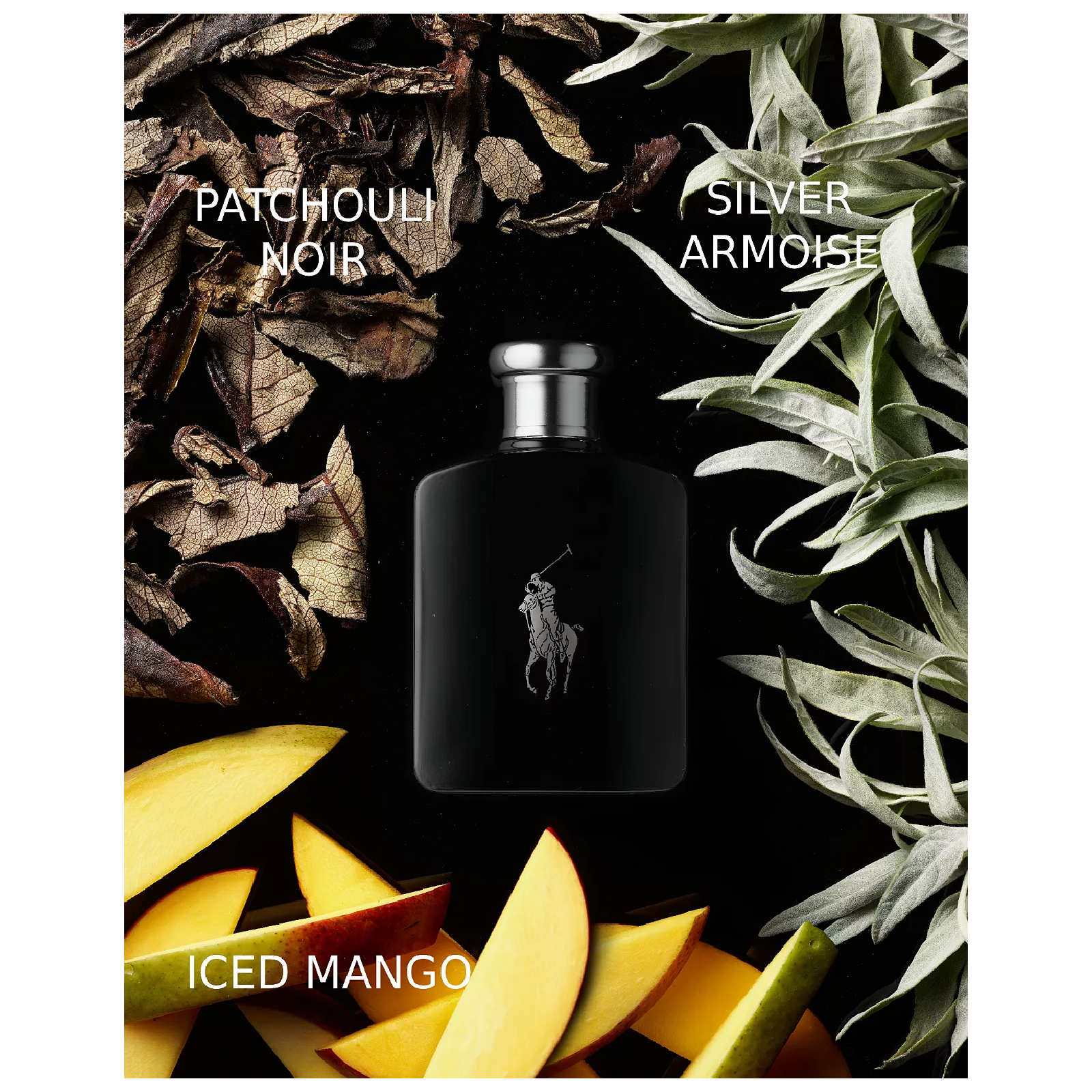 Ralph Lauren Polo Black for Men