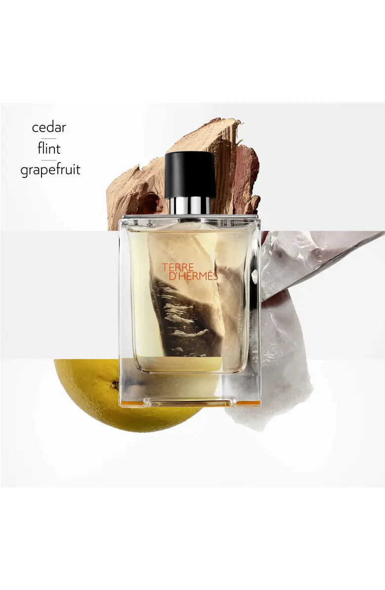 Hermes Terre D'hermes Eau de Toilette for Men