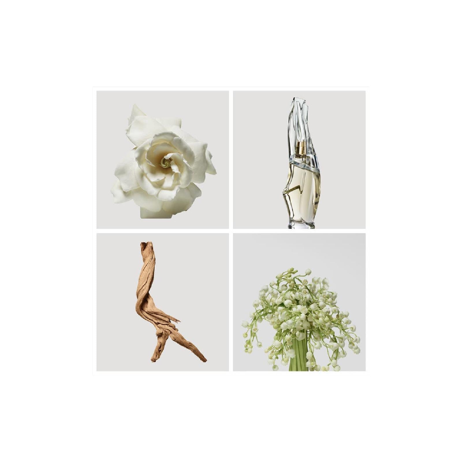 Donna Karan Cashmere Mist for Women