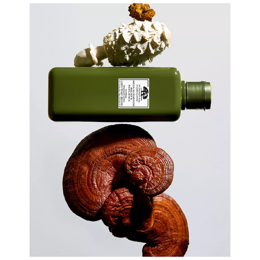 Mega mushroom relief and resilience online