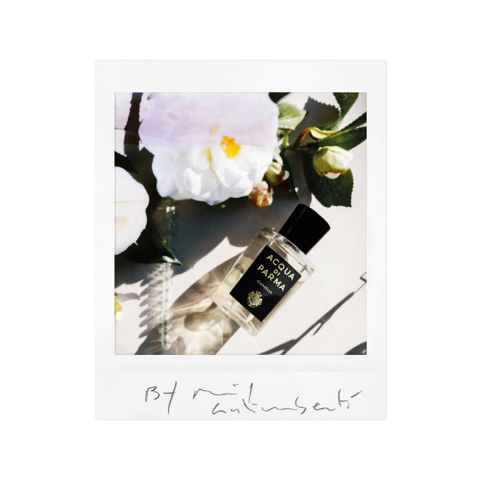 Acqua Di Parma Camelia Eau de Parfum for Everyone