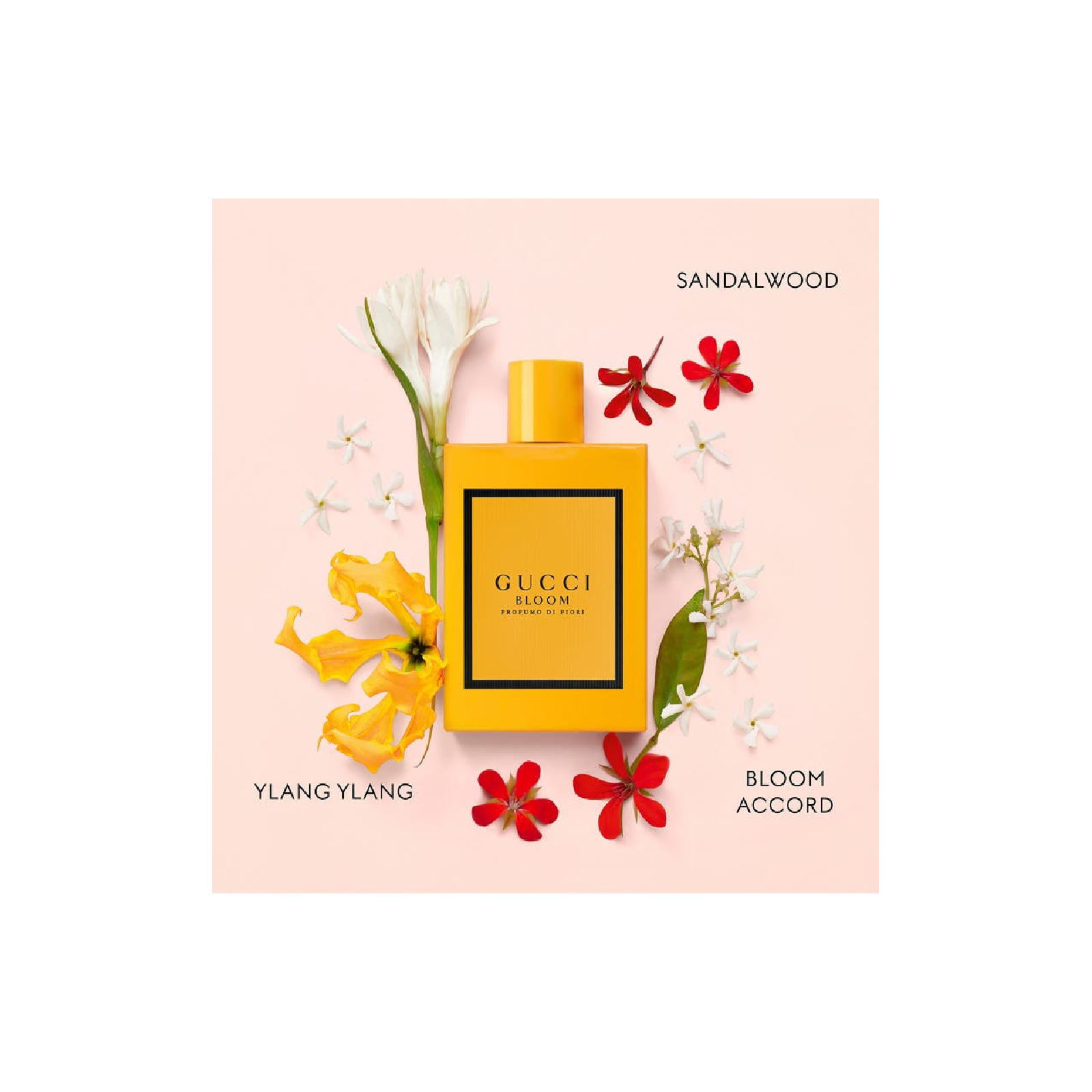 Gucci Bloom Profumo Di Fiori Eau de Parfum - Luxury Floral