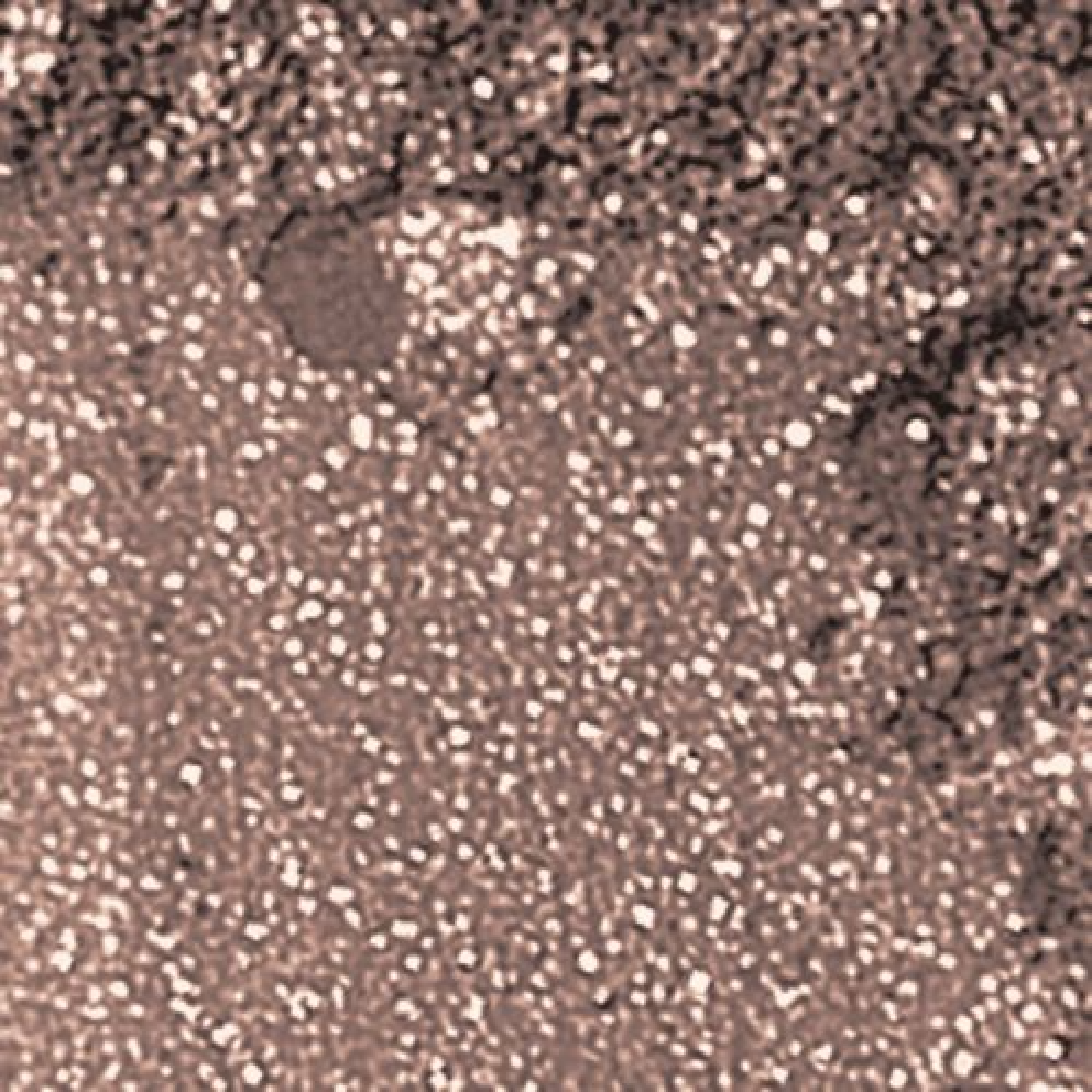 Bareminerals Loose Mineral for Women