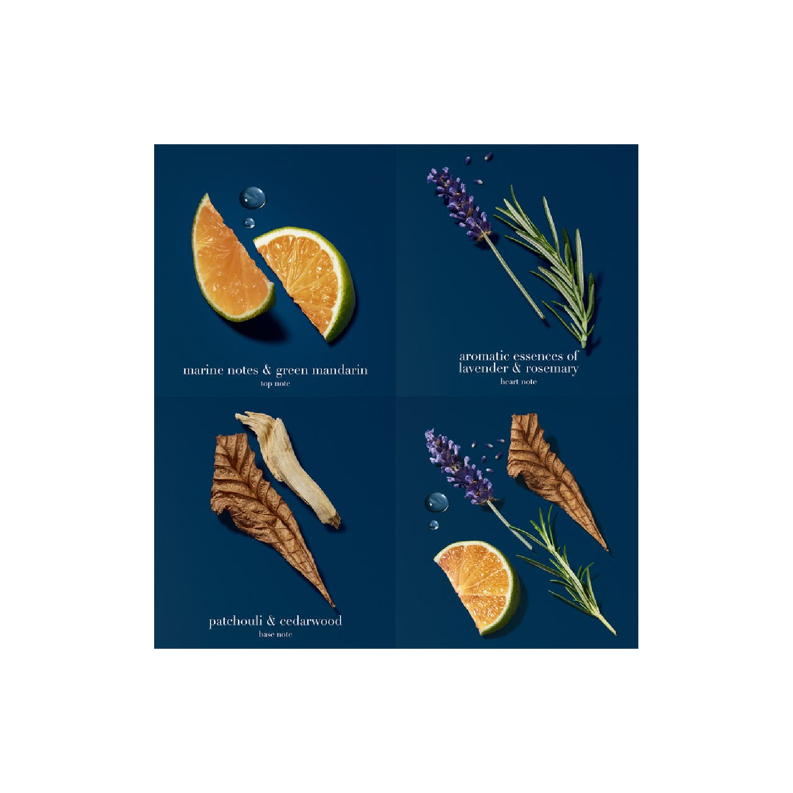 Giorgio Armani Acqua Di Gio Profondo Eau de Parfum for Men