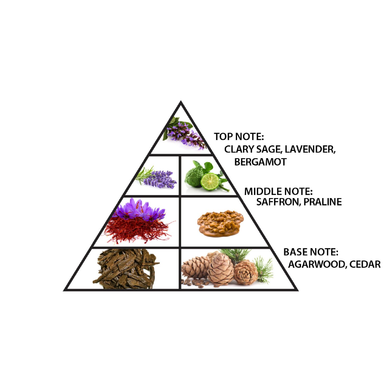 Al Haramain Detour Eco Eau de Parfum for Everyone