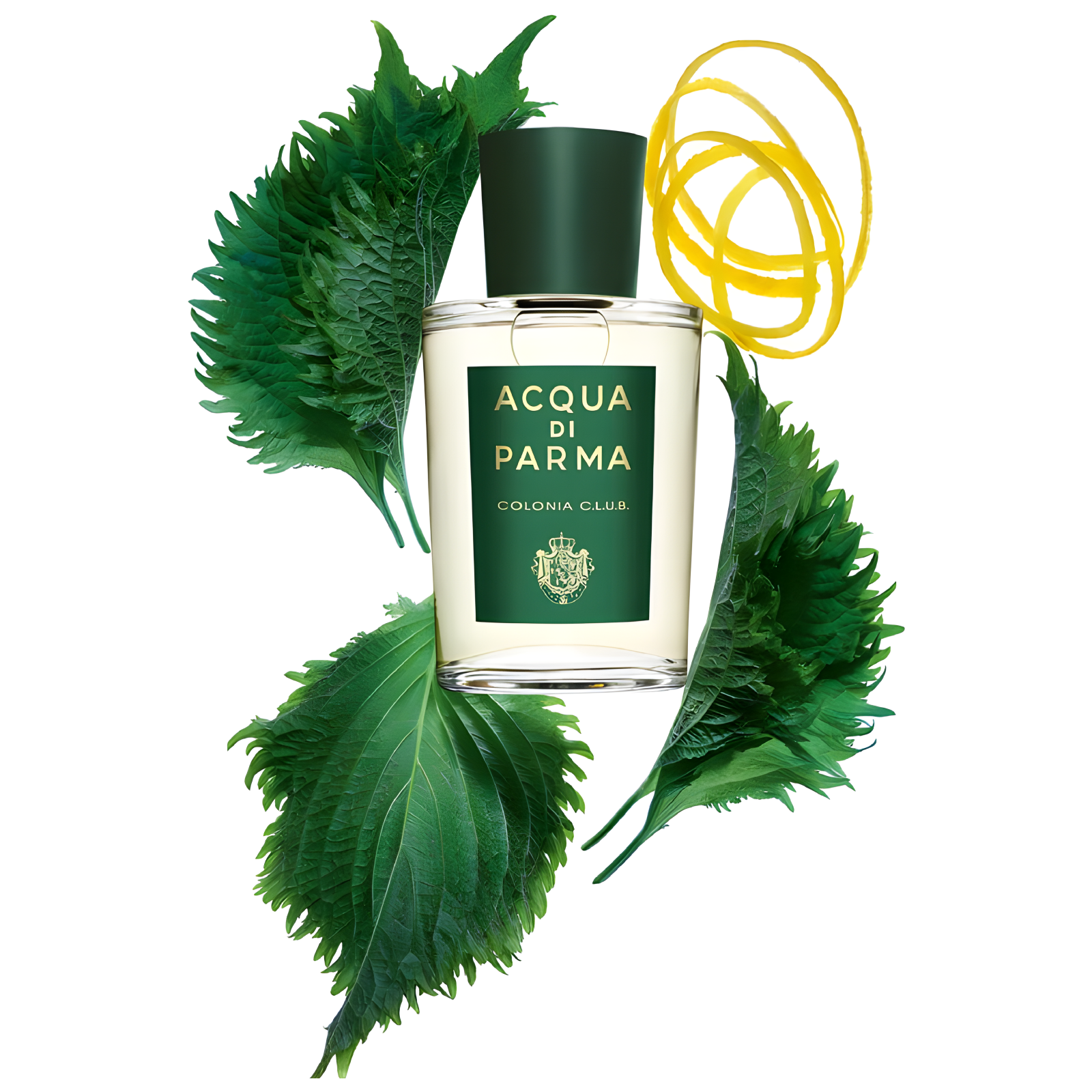 Acqua Di Parma Colonia C.L.U.B. Eau de Cologne for Everyone