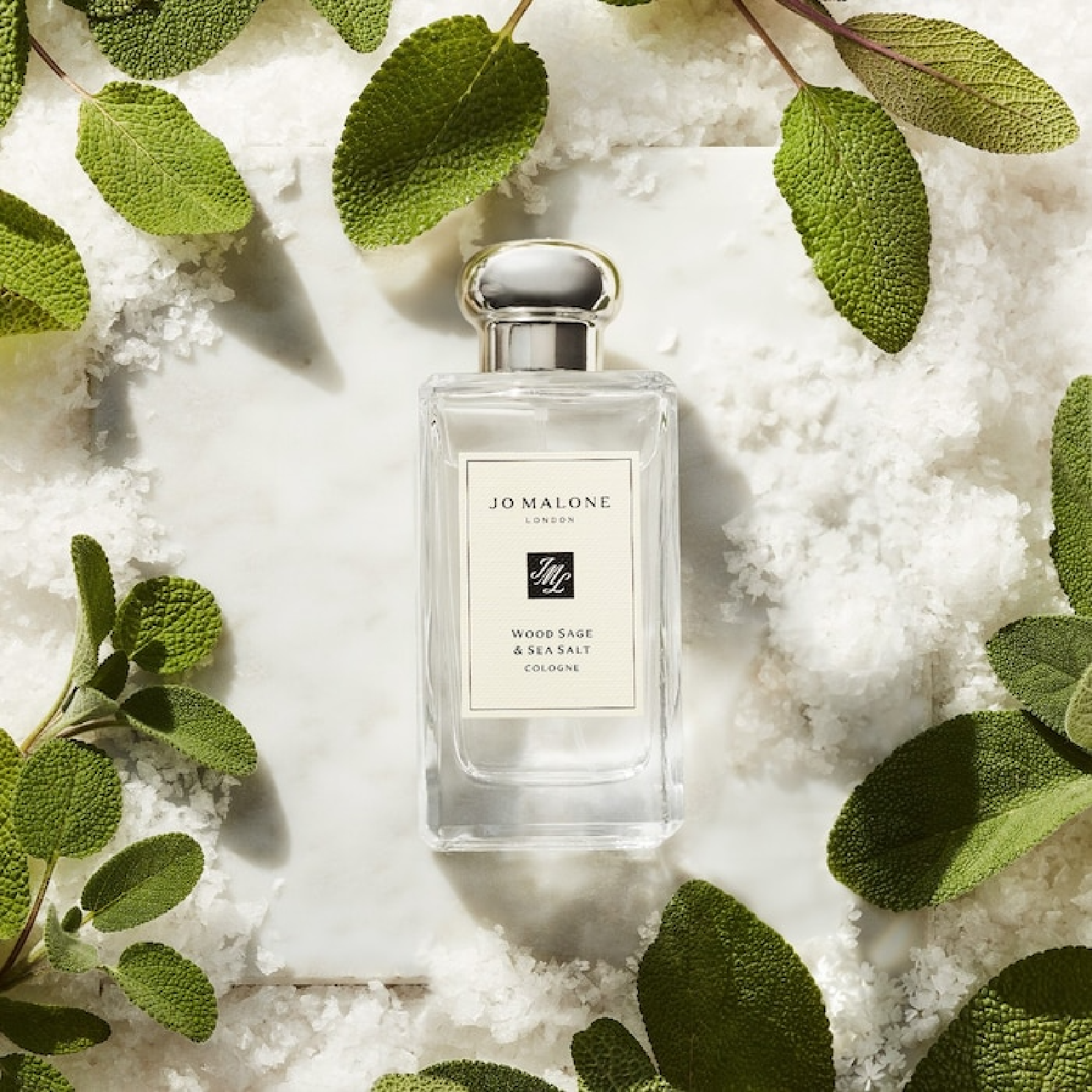 Jo Malone Wood Sage & Sea Salt Eau de Cologne - Fresh & Woody