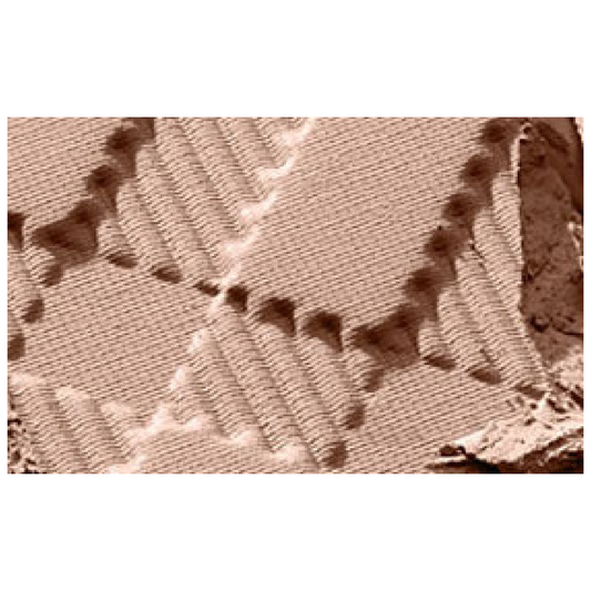 Burberry Sheer Powder Luminous Pressed Beauty House