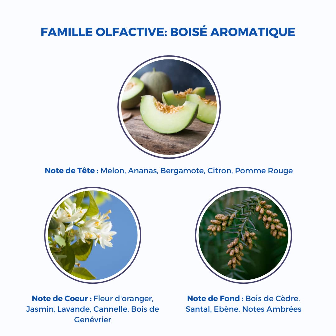 Pierre Cardin Pour Homme Eau de Toilette for Men