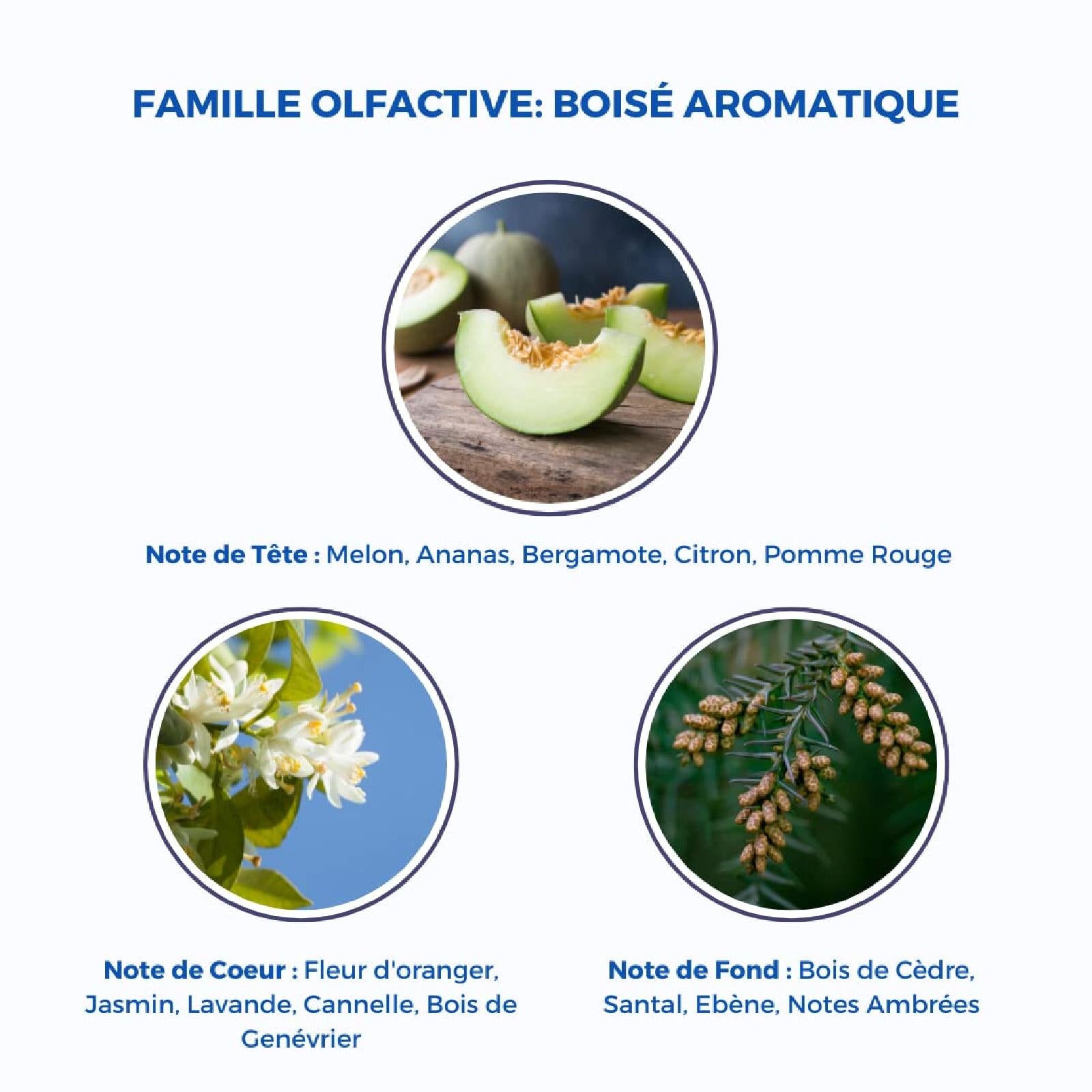 Pierre Cardin Pour Homme Eau de Toilette for Men