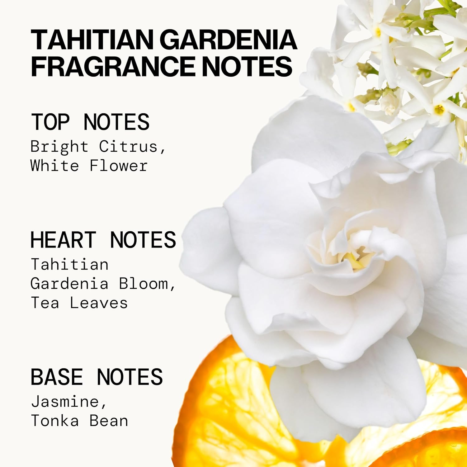 Pacifica Wndrlst Gift Set for Women