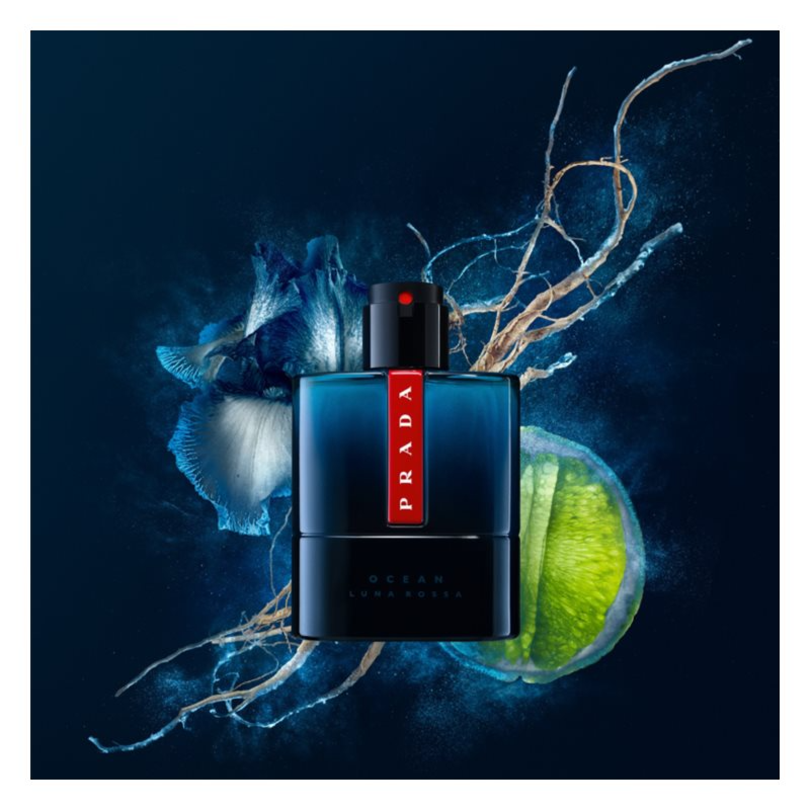 香水(男性用) PRADA OCEAN LUNA ROSSA 100ml Amazon.com : Prada Luna Rossa Ocean by Prada for Men - 1.6