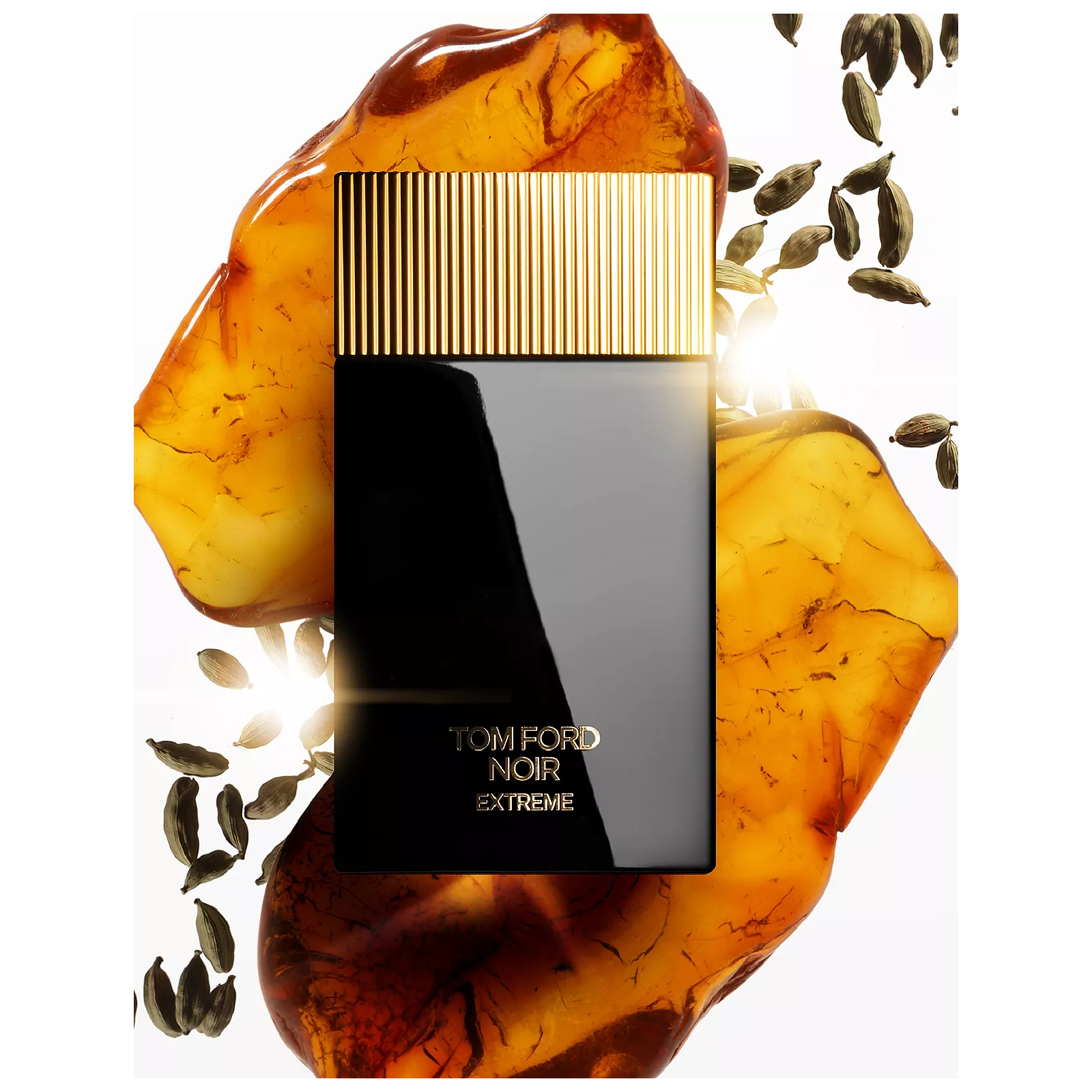 Tom Ford Noir Extreme Eau de Parfum for Men