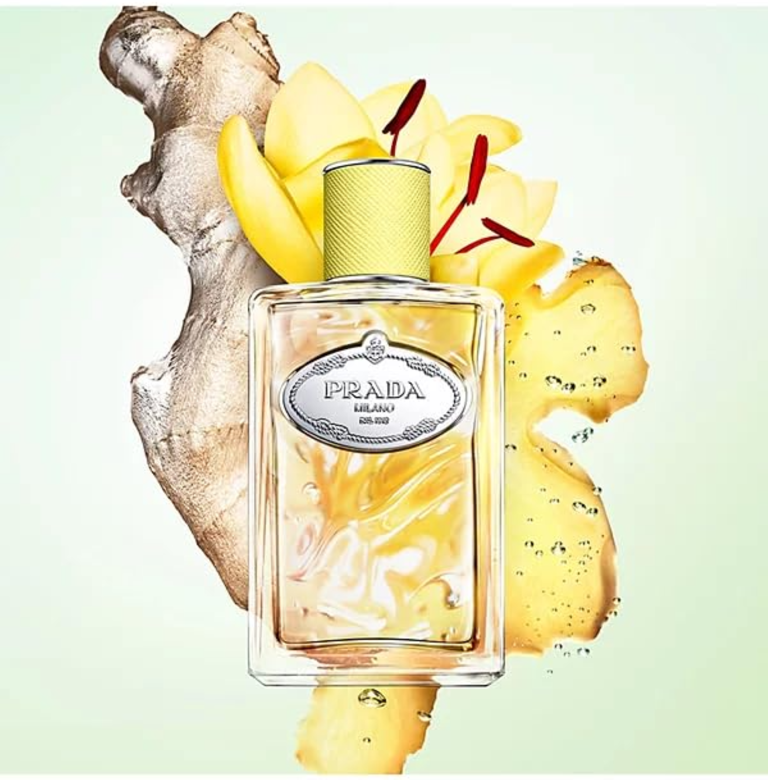 Prada Milano Infusion De Gingembre Eau de Parfum for Everyone