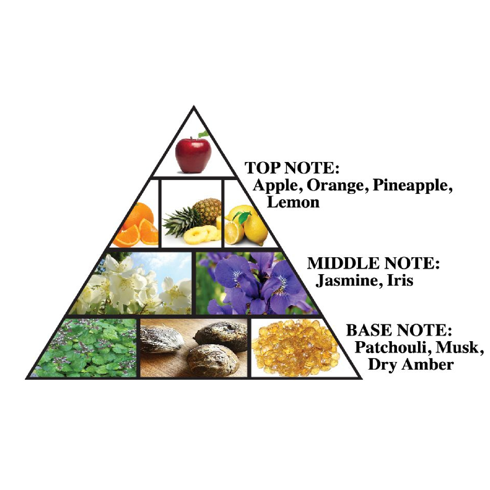 Al Haramain Urbanist Eau de Parfum for Women