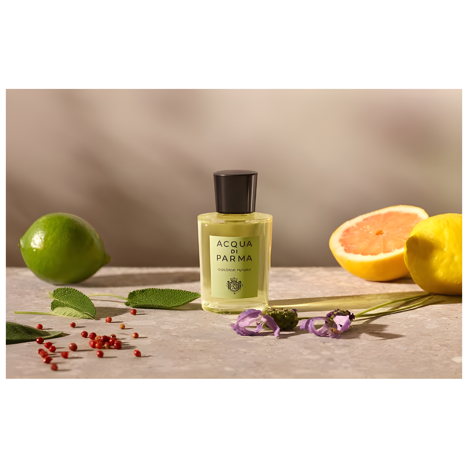 Acqua Di Parma Colonia Futura Eau de Cologne for Men